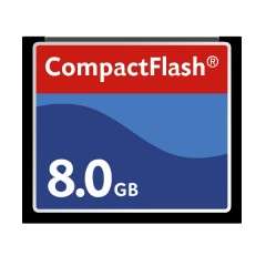 GB Compact Flash (CF) Memory Card