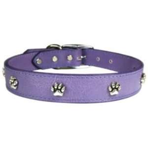   Signature Leather Paws Dog Collar 22in Raspberry