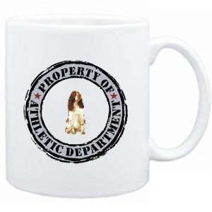   English Springer Spaniel ATHLETIC DEPARTMENT TRANSFER  Dogs Sports