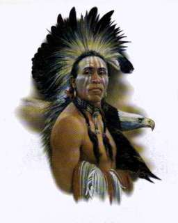 Eagle Vision  Native American Indian   Bald Eagle Wild Animal 