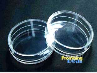 New 5 Glass Tissue Culture Plate Petri Dish Lab 60 mm  