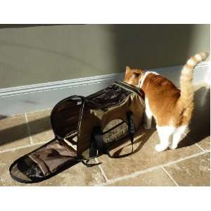  Small pet carrier 19Lx10Dx12H