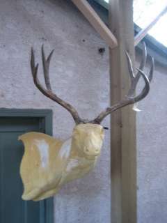   DEER RACK antlers whitetail moose elk taxidermy mount sheds  