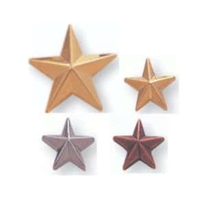  Star Award Pins (Gold/Silver/Bronze) Beauty